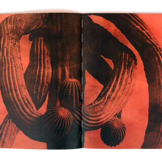 Jungjin-Lee-Desert-Radius-Book-04 Jungjin-Lee-Desert-Radius-Book-04