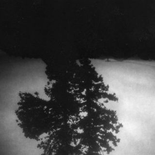 TRWSE03-600×400 TRWSE03-600×400