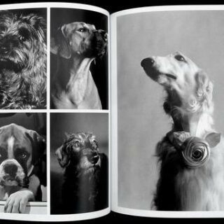 personal-best-elliott-erwitt-07 personal-best-elliott-erwitt-07