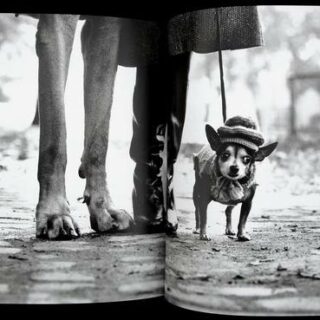 personal-best-elliott-erwitt-10 personal-best-elliott-erwitt-10