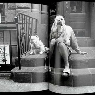 personal-best-elliott-erwitt-11 personal-best-elliott-erwitt-11
