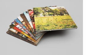william-eggleston-the-democratic-forest-185 william-eggleston-the-democratic-forest-185
