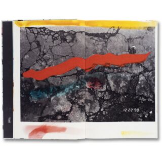 masahisa-fukase-hibi masahisa-fukase-hibi