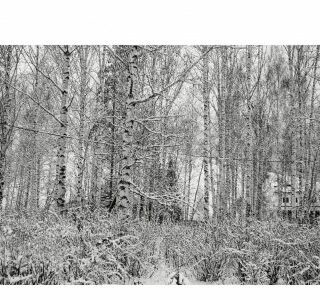 0013-2-403×300 0013-2-403×300