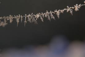 Rinko Kawauchi 2 Rinko Kawauchi 2