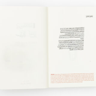 mroue-rabih-diary-of-a-leap-year-11 mroue-rabih-diary-of-a-leap-year-11