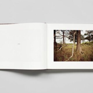 eggleston3 eggleston3