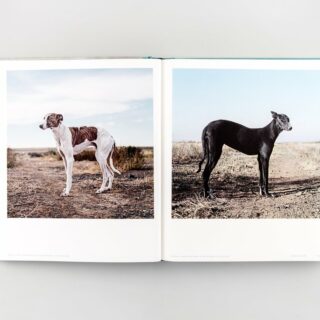 Really_Good_Dog_Photography-27_1024x1024 Really_Good_Dog_Photography-27_1024x1024