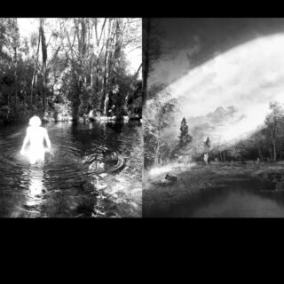 noir2 noir2