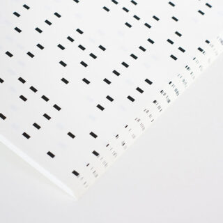 IMG_4335 IMG_4335