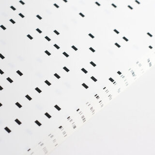 IMG_4336 IMG_4336